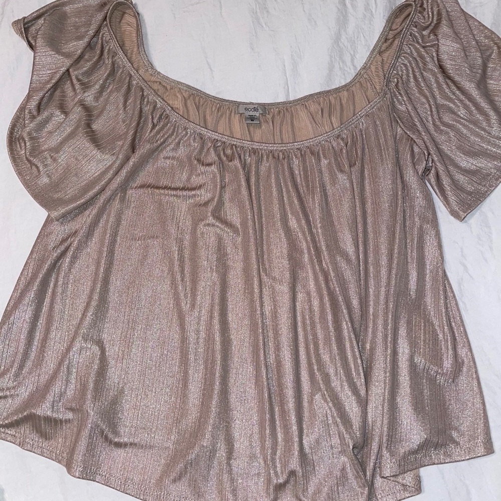 Shimmery off the shoulder top